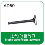 Intake valve/Exhaust valve