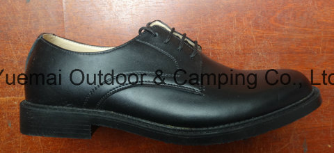 Army High Quality Office Shoes with Good Price