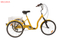 24TR023 TRICYCLE WITH CARGO