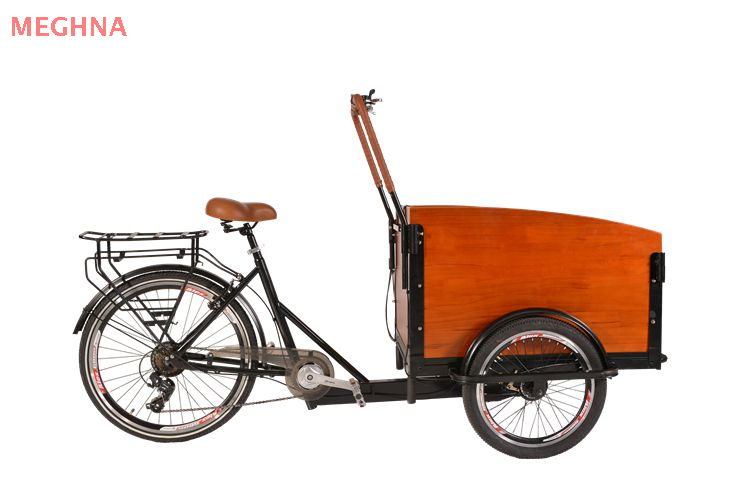 Cargo 1.0_2 tricycle with front cargo