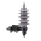 Surge Arrester Yh10W-24