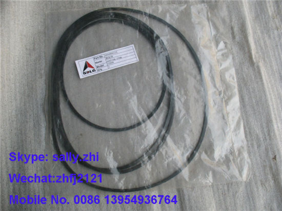 Sdlg Sealing Ring 3030900113 for Sdlg Wheel Loader LG956
