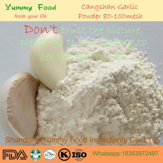 Irradiated Dehydrated Garlic Powder 80-100mesh