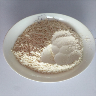 Garlic Powder Air Dried Garlic Powder 100-120