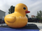 RB25009-1（5mH） Inflatable Giant cartoon duck/inflatable yellow duck/inflatable promotion duck