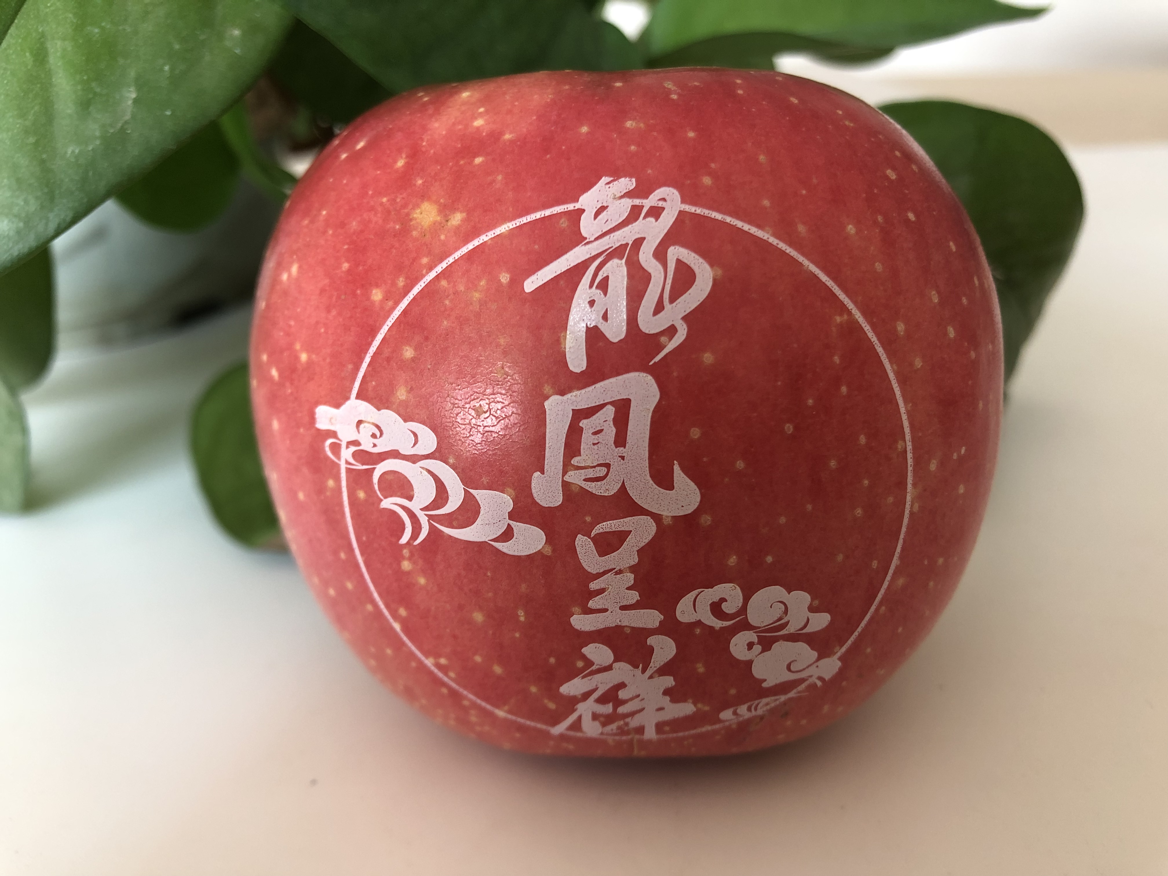 旧店果农玩转“艺术苹果”苹果油墨印字，身价翻两番
