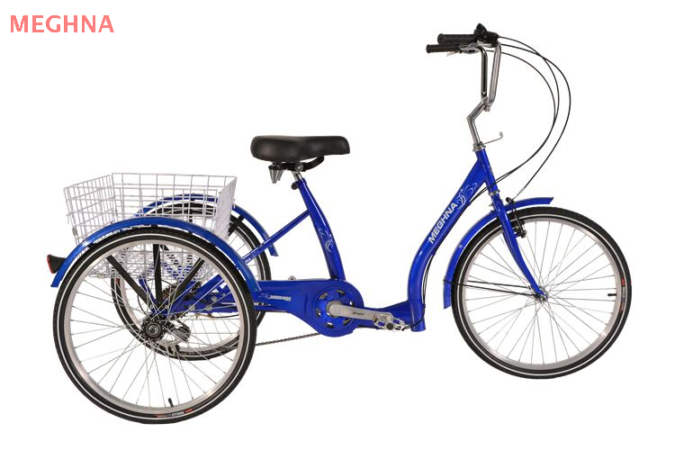 24TR026E TRICYCLE WITH CARGO