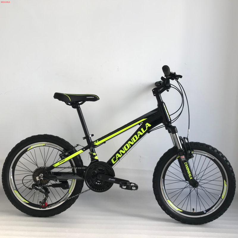 X1 20 mountain bicycle