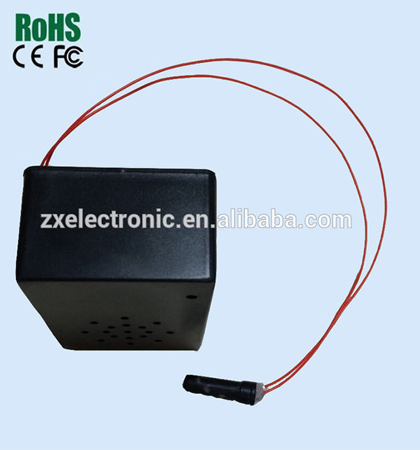 Custom Motion Sensor Sound Box and Talking Motion Sensor