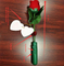 Romantic sound music led rose flower light for Valentine's/birthday/Wedding anniversary gift