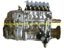 BP12S4 612601080579 Longbeng fuel injection pump for Weichai WD615