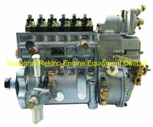 BP1262 13035846 Longbeng fuel injection pump for Weichai WP6D158E201
