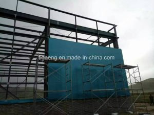 Edificio multi de la estructura de acero del palmo de la granja de pollo de la prueba del moho