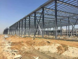 Atelier lourd de qualit&eacute;/projet en acier d'entrep&ocirc;t pour le Cameroun