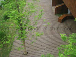Dise&ntilde;o modificado para requisitos particulares/de la f&aacute;brica que recicla Decking pl&aacute;stico de madera WPC de la buena calidad