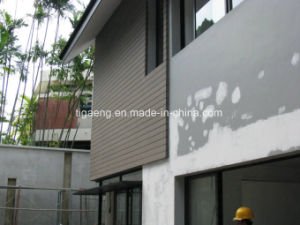 Material exterior resistente de la decoraci&oacute;n del art&iacute;culo WPC del tiempo/revestimiento impermeable de la pared