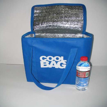 cool bag