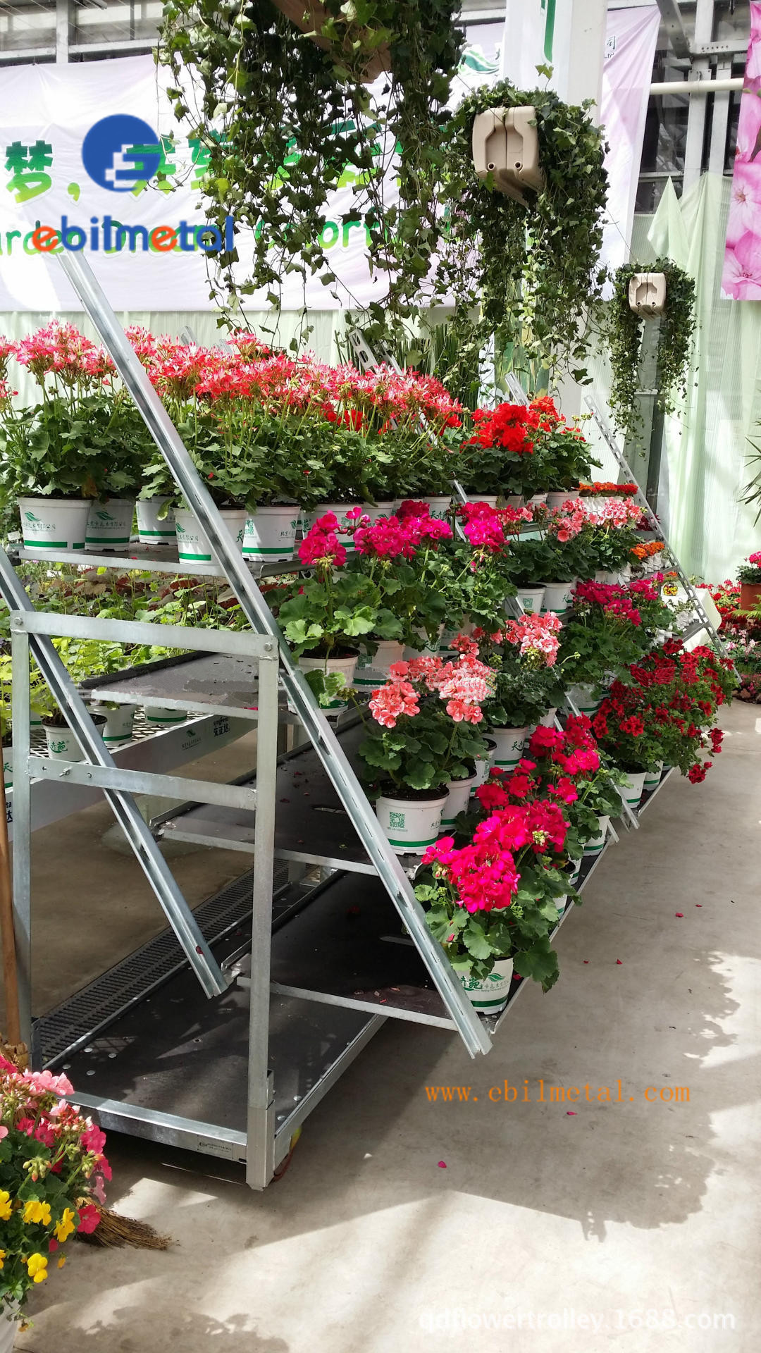 Display Flower Racks Buy Product on Jiangsu Ebilmetal Intelligent Storage Technology Co., LTD