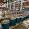 Cold Rolled Stainless Steel Coils/Strip/Foil with Competitive Price~