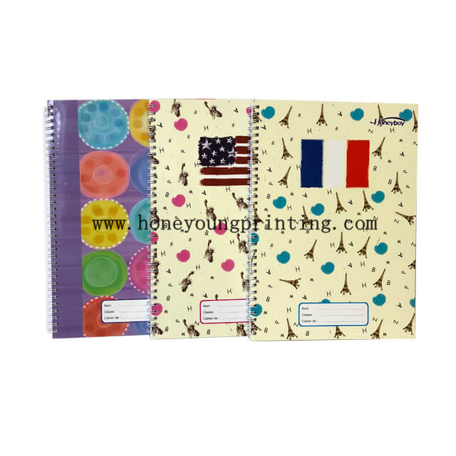 Cahier Spirale Wide Rule Et Seyes 50 Feuilles Couleur Aléatoire Double Spirale Format A4