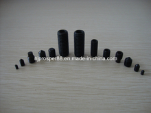 Metric Hex Socket Set Screw (YZF-F027)