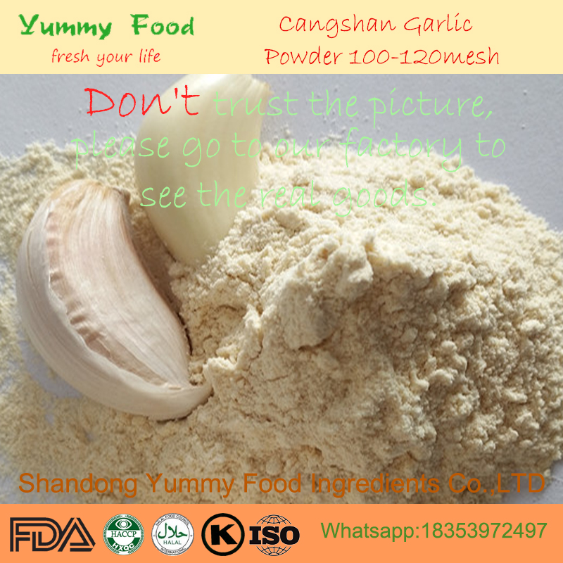 Strong Pungent Aroma Dehydrated Garlic Powder Allergen Free
