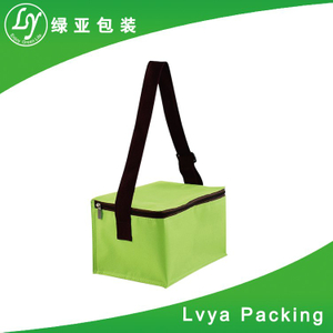 disposable insulated 6 pack beer can cooler bag