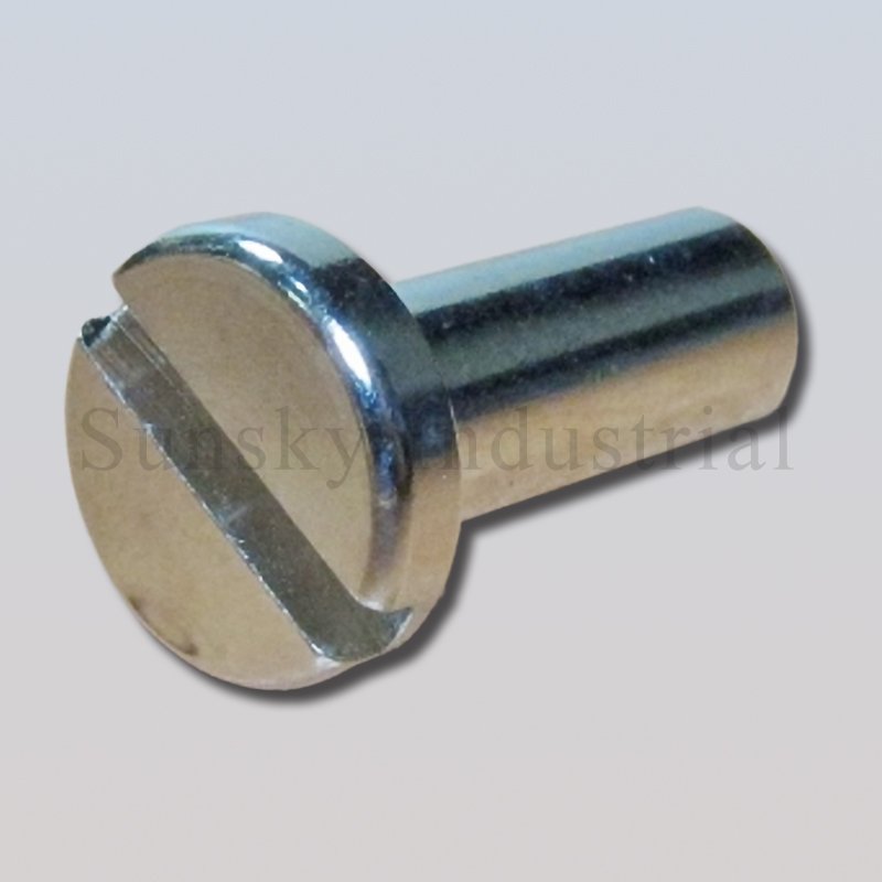 Cnc lathe machining cnc machining stainless steel pin (AL13144)