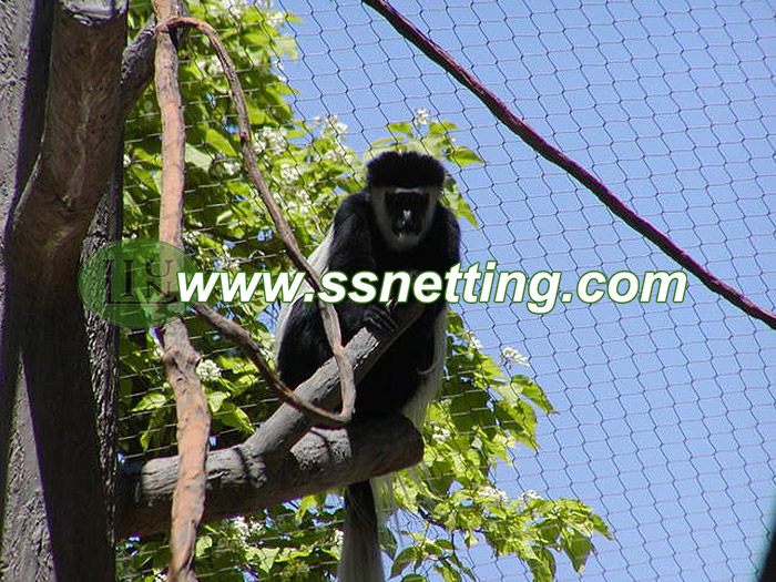 Monkey Enclosure Mesh monkey wire rope netting,monkey cage mesh