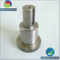 High Precision Customized Transmission Gear Shaft Gear for Various Machinery
