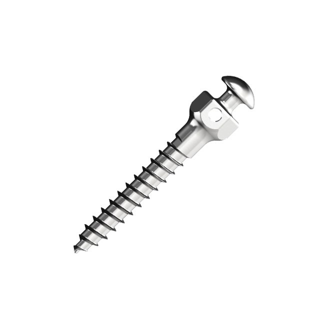 Micro screw Titanium alloy
