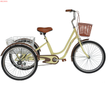 24TR010 TRICYCLE