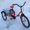 20TR033 STEEL LEISURE TRICYCLE