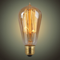 Brass Base Material and 25W-60W Power Vintage Bulb