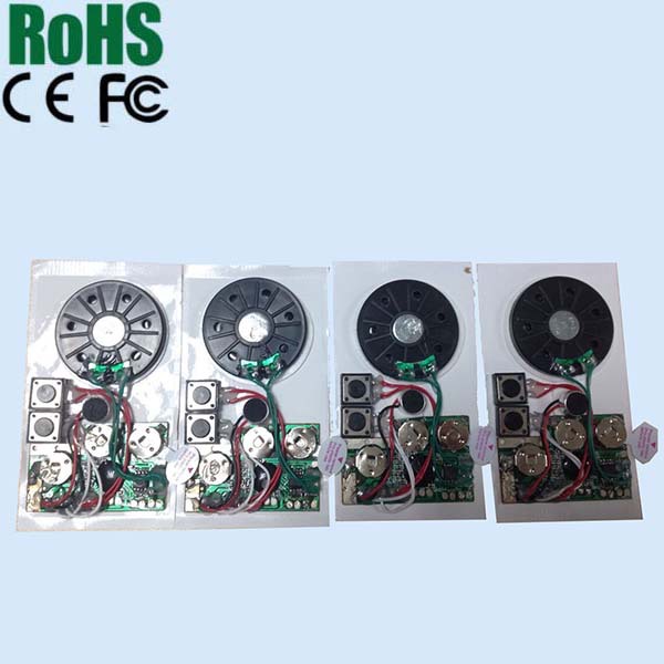 Customized recordable voice recognition chip with IC chip