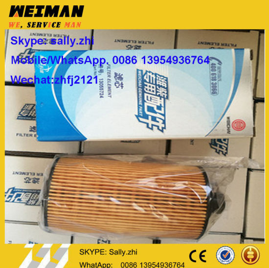 Brand New Oil Filter 13055724 for Weichai Engine Td226b