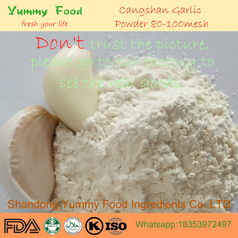 High Flavor Dehydrated Garlic Powder 80-100mesh to North America