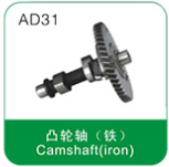 Camshaft(Iron)