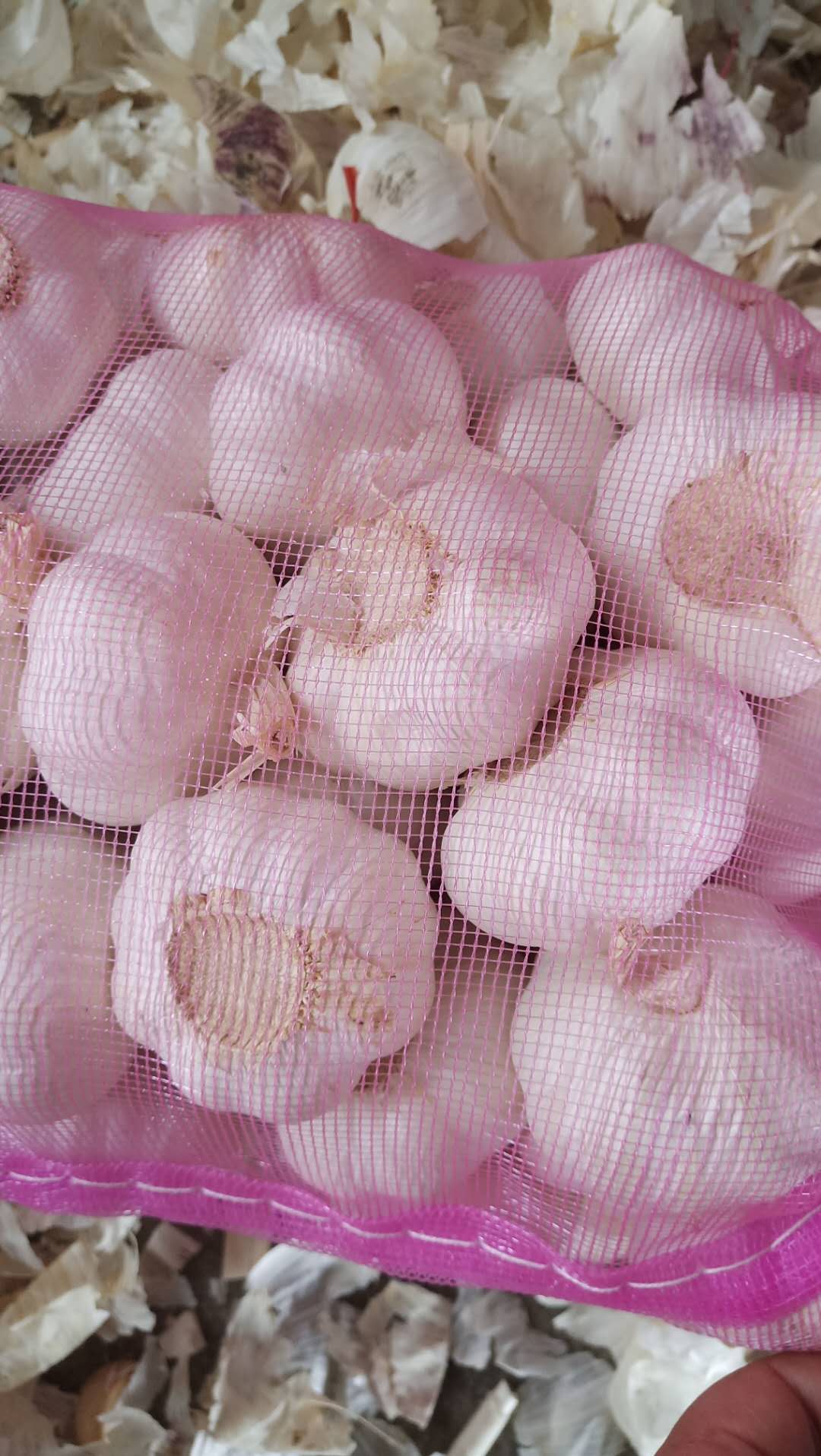 2020 China Fresh Pure White Garlic Export Garlic Bulb Price
