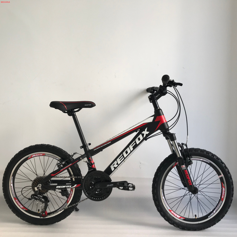 F1 20 mountain bicycle