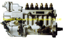 BP6682 617023000058 Longbeng fuel injection pump assembly for Weichai X6170ZC450-1
