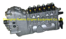 BP6658 616067330001 Longbeng fuel injection pump for Weichai R6160ZC250-5