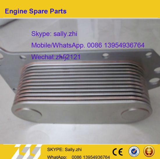 Oil Cooler C3974815 /4110000081018 for Dcec 6bt5.9 Diesel Engine