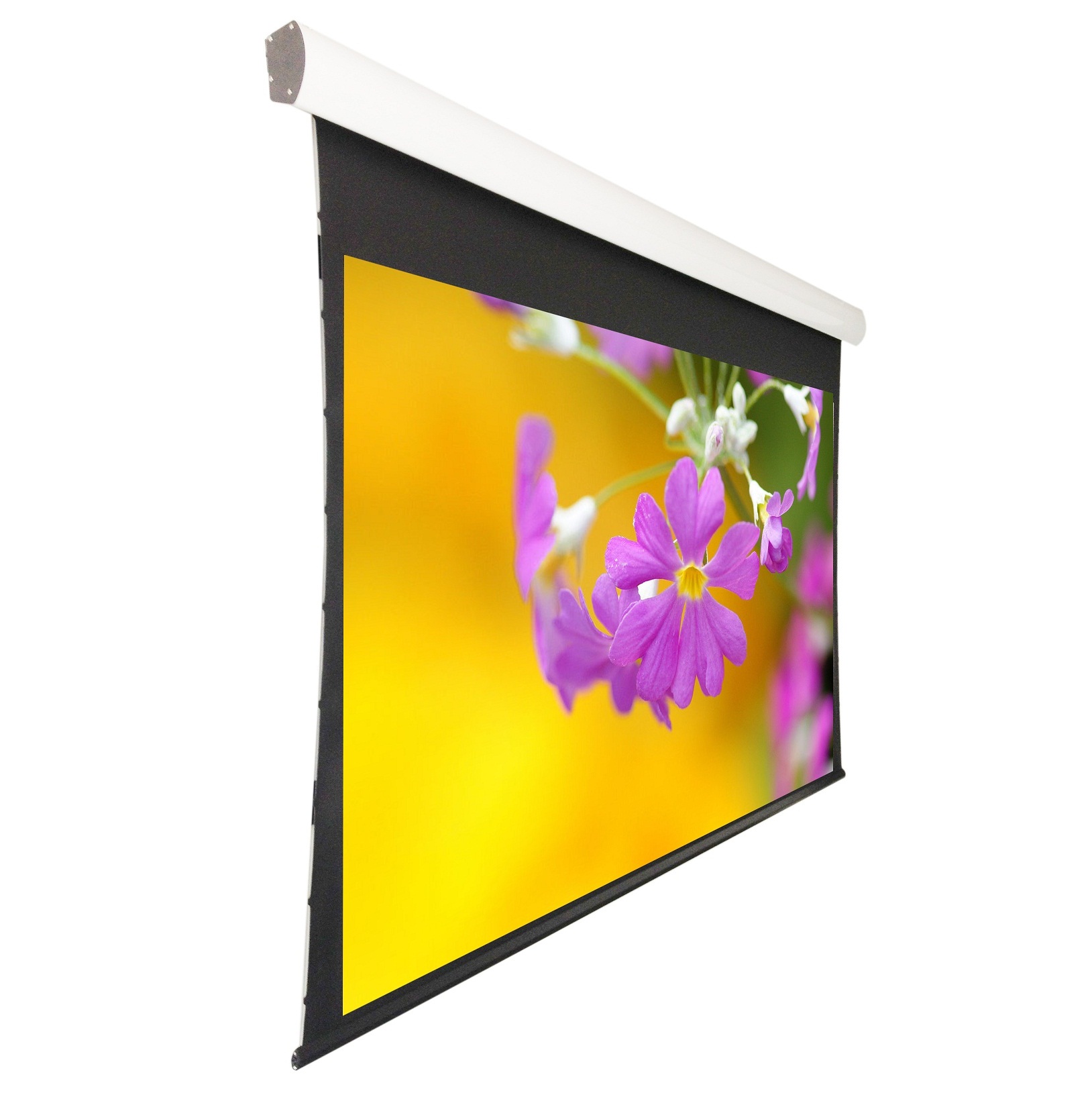 Tab Tension Motorized Projection Screen Electric Projector Screen