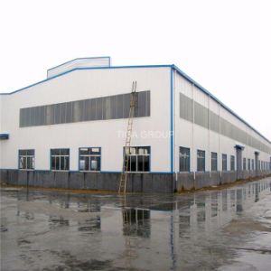 Edificio pre de Enginerred del almac&eacute;n/del taller/del granero o de la estructura de acero