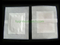 2 in 1 Detox Foot Patch