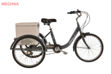 24TR014 TRICYCLE WITH GLASS FIBER BOX 