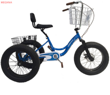 24TR011 TRICYCLE
