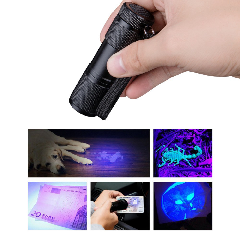 12 LED UV Flashlight black light for scorpion, pet urine or money detector