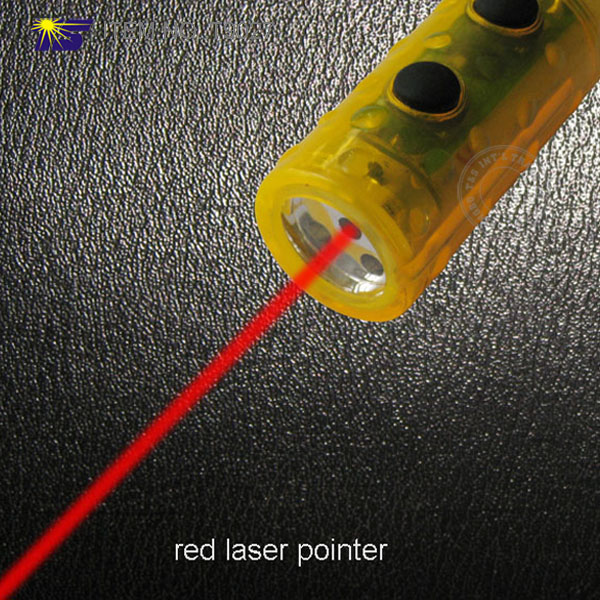 4 in 1 Laser Glow Light